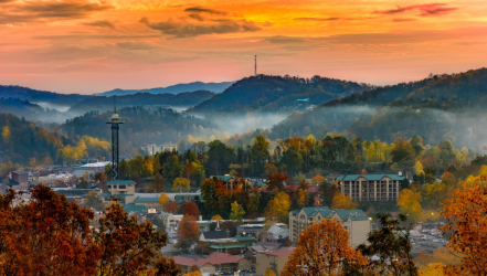 How to Organize a Multi-Generational Family Trip to Gatlinburg