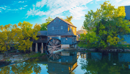 Escape to the Woods: The Joys of Vacationing in a Cozy Cabin