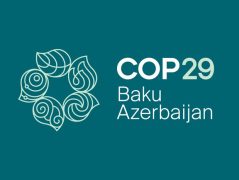 COP29: The Future Of Carbon Markets And Climate Finance