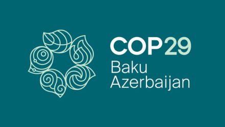 COP29: The Future Of Carbon Markets And Climate Finance