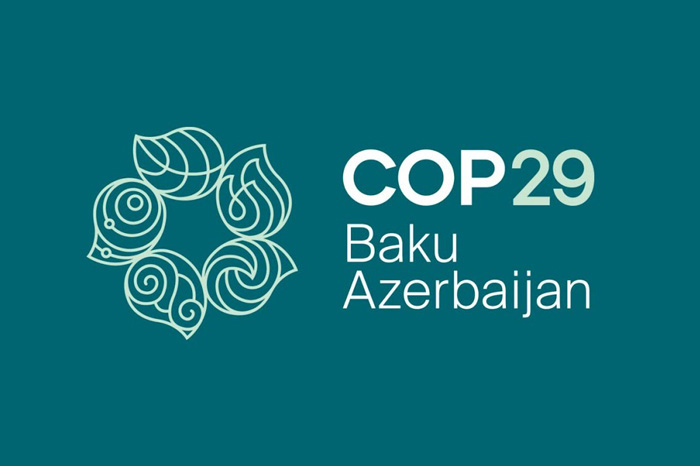 COP29: The Future Of Carbon Markets And Climate Finance